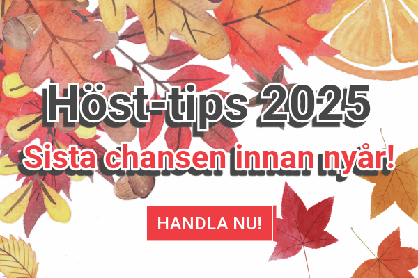 refrico2025-slider-mb-2